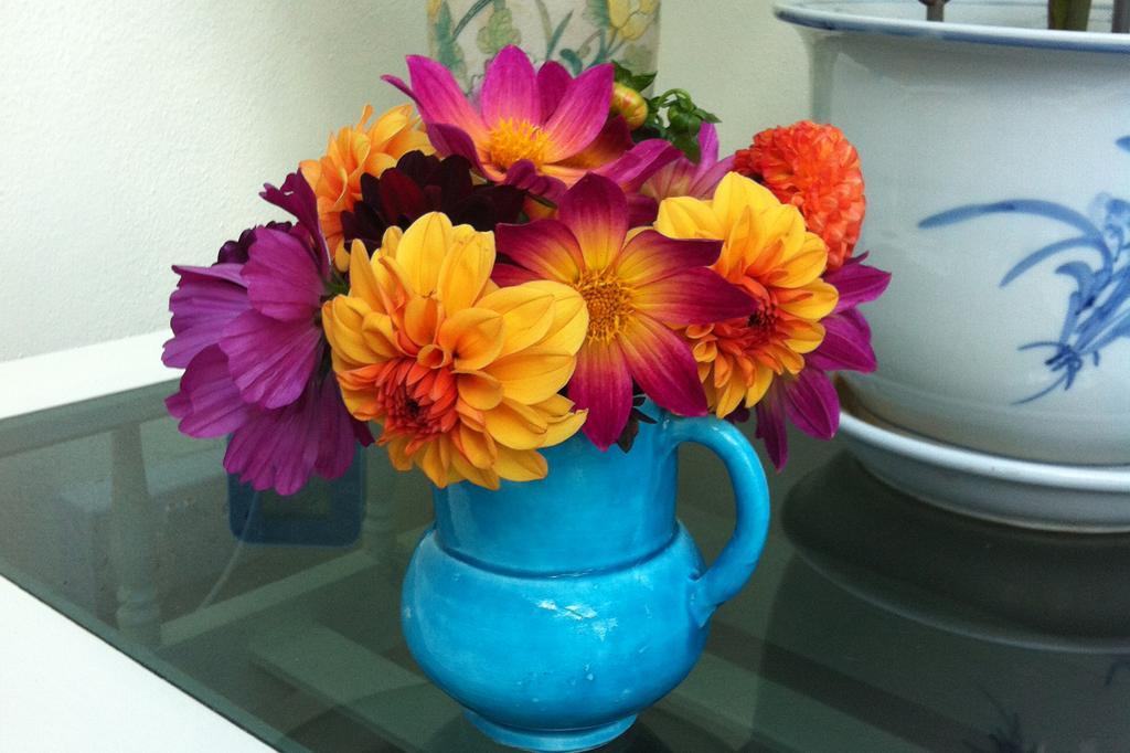 Grateley Gunville House B&B חדר תמונה